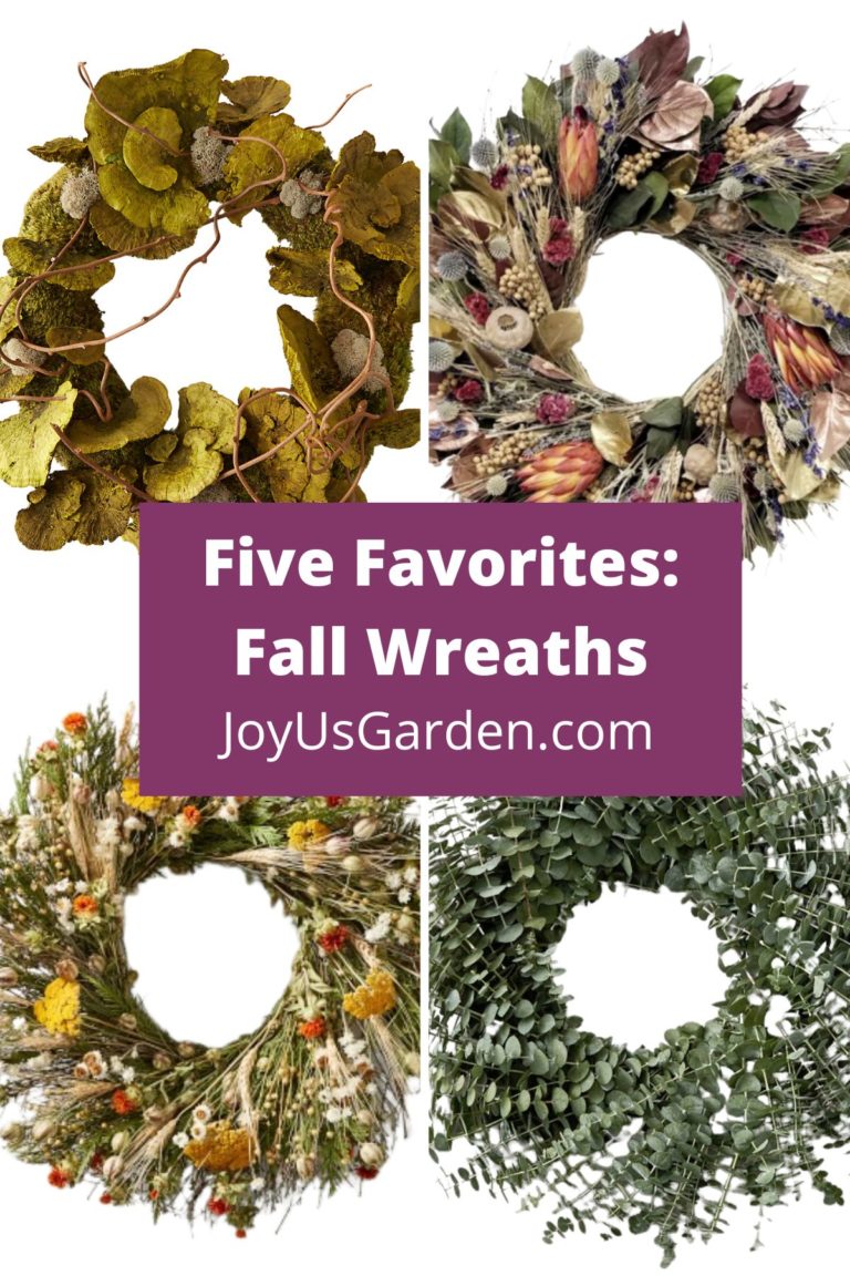 Five Favorites: Fall Wreaths