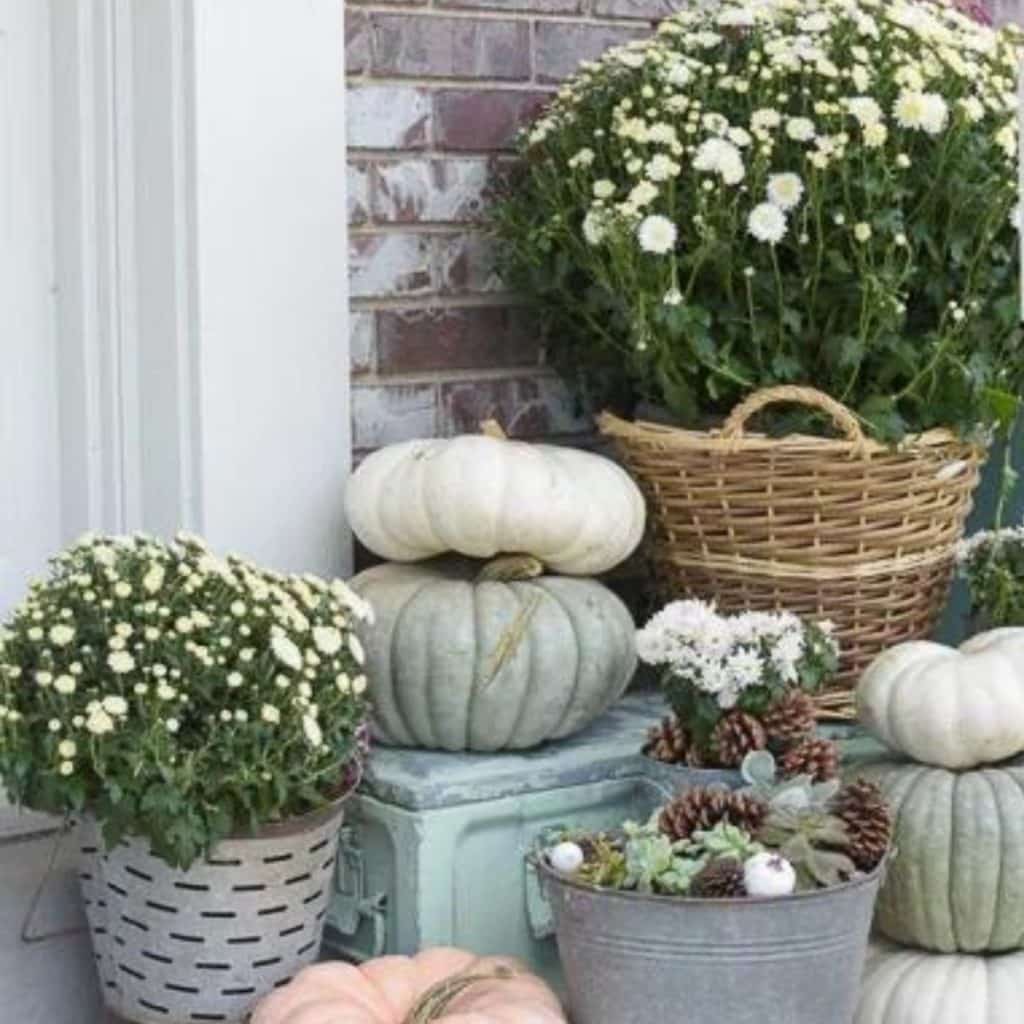 front porch decorations with white & green pumpkins & mums for the fall season