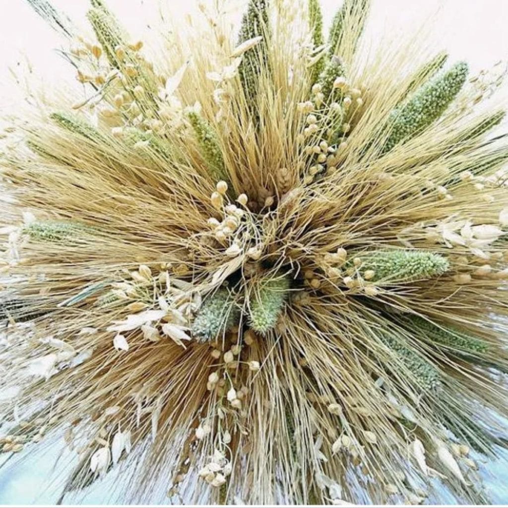 a mixed wheat bundle to use as fall decor to buy from etsy