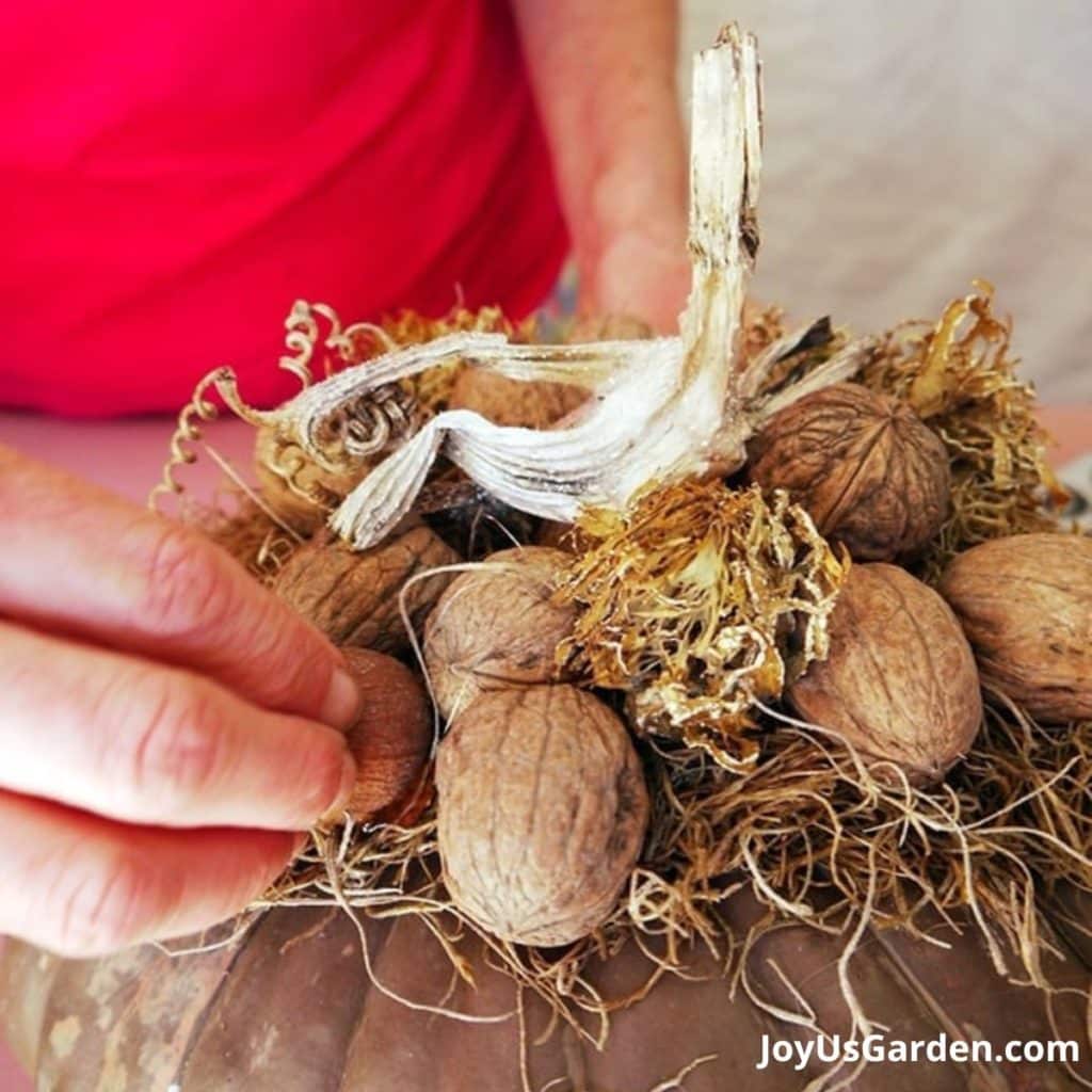 A diy on how to decorate a brown pumpkin with natural tones for fall