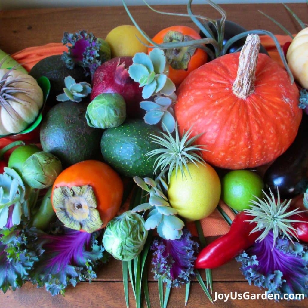 a combo of fall fruits & vegetables, air plants & succulent cutting create a fall centerpiece