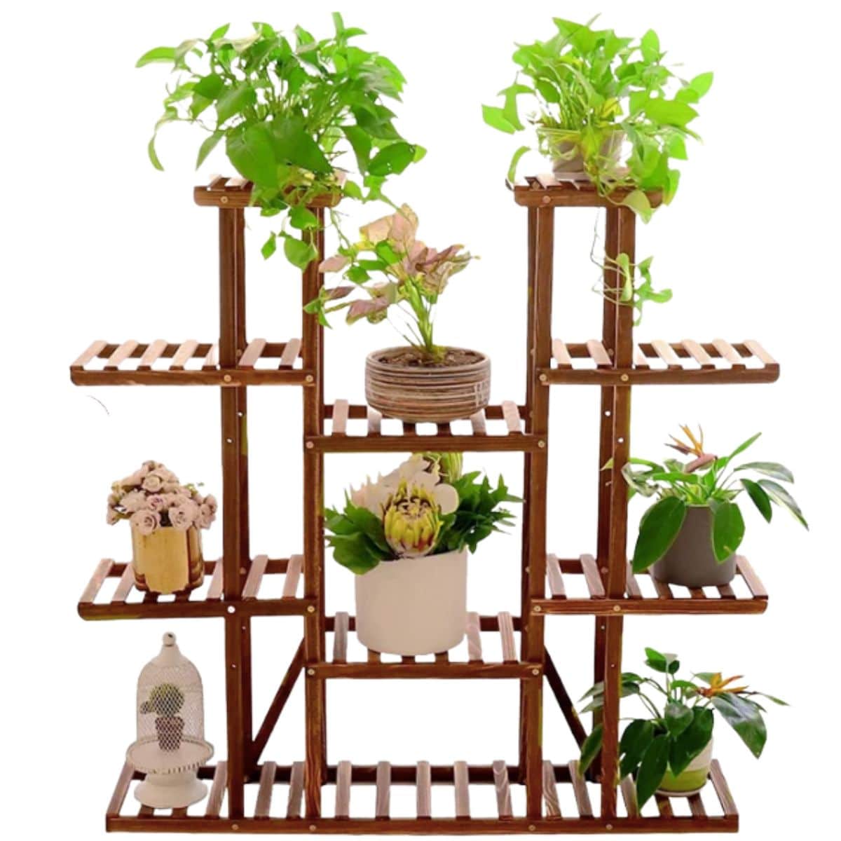 indoor plant stand with multiple plant shelves and displayed with a variety of plants from Wayfair