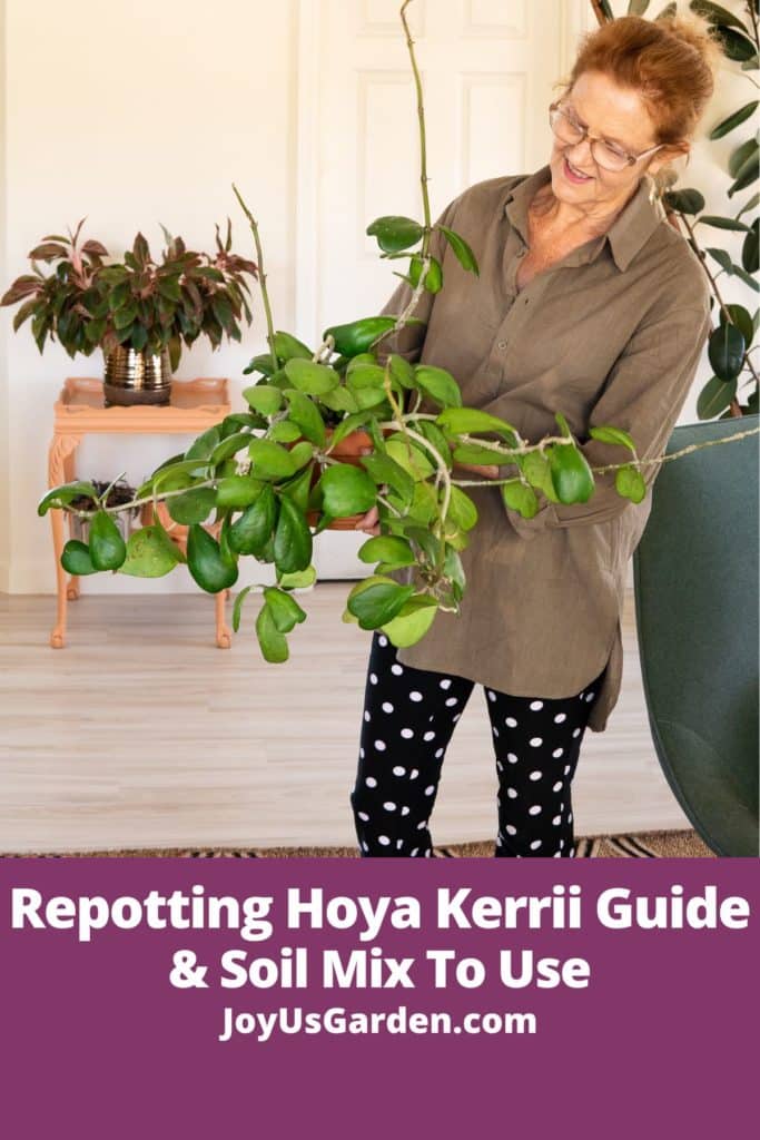 nell foster holding a hoya kerrii in clay pot while wearing brown shirt and black and white pants text reads repotting hoya kerrii guide & soil mix to use joyusgarden.com