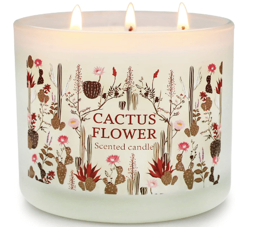 Cactus Flower Scented Candle with cactus design label from amazon