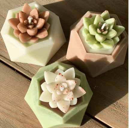 succulent candle set with 3 candles shown from etsy