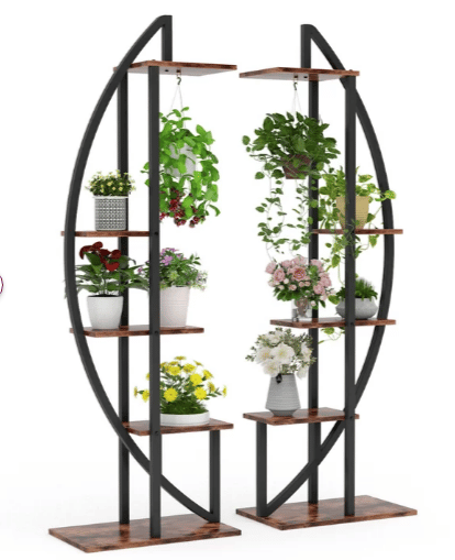 two symmetrical arc design plant stand with a variety of plants shown from wayfair
