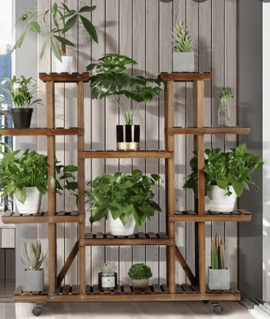 multi level wood plant stand with a variety of plants shown from wayfair