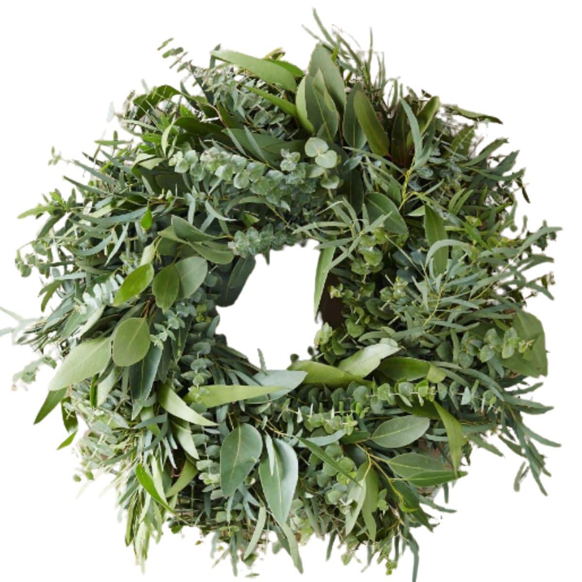 dried eucalyptus wreath using spiral, seeded, and knife blade eucalyptus from west elm