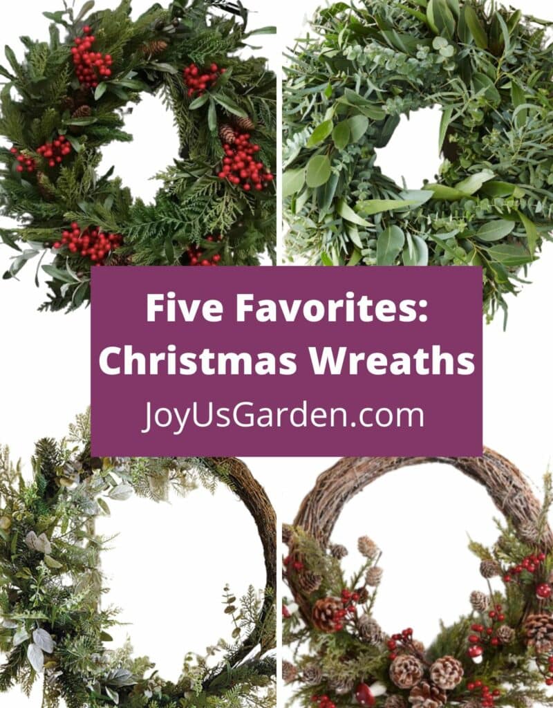 collage of 4 christmas wreaths text reads five favorites: christmas wreaths joyusgarden.com