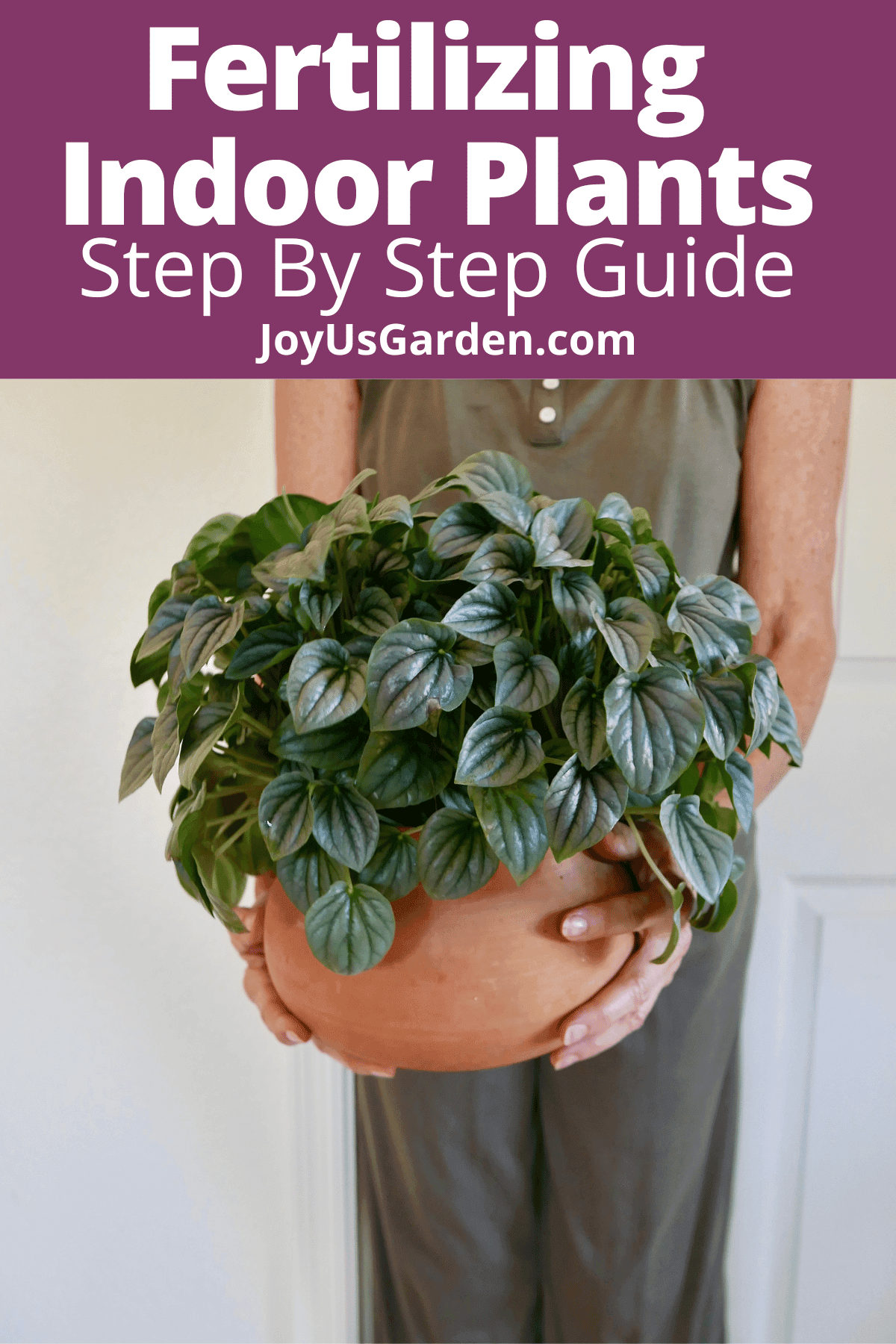 How to Fertilize Indoor Plants Ways to Feed Houseplants