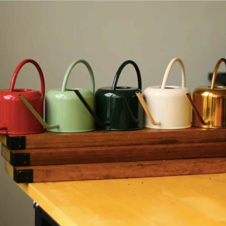 Indoor Plant Gifts The Houseplant Lovers Ultimate Gift Guide