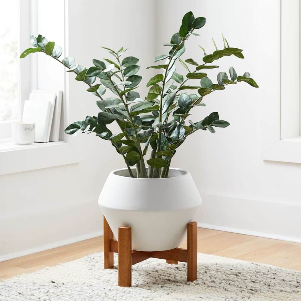 https://www.joyusgarden.com/wp-content/uploads/2022/11/indoor-plant-gifts-26-1024x1024.jpg