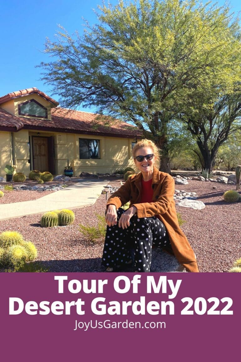 Tour of My Desert Garden 2022