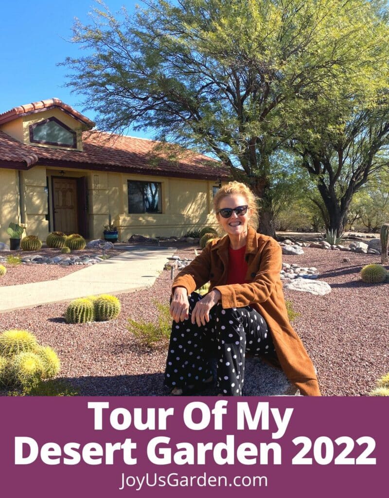 nell foster sits on a rock in her sonoran desert garden in tucson arizona the text reads tour of my desert garden 2022