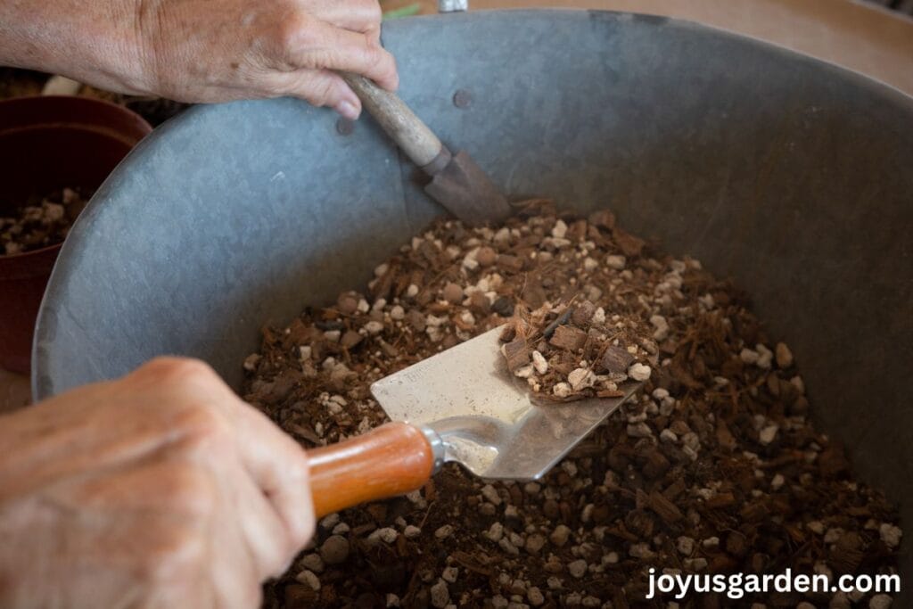 Close up of chunky succulent & cactus mix in a metal bin ready to be used for planting.
