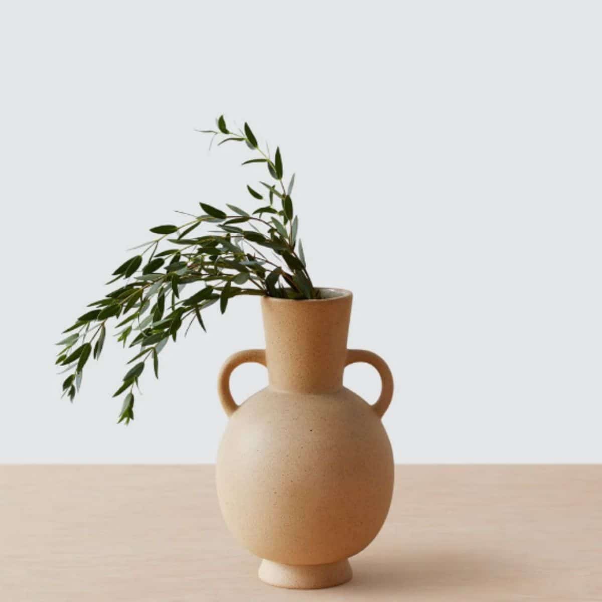 ceramic earthenware vase, light terracotta shade,  with handles and dried foliage placed inside from the citizenry