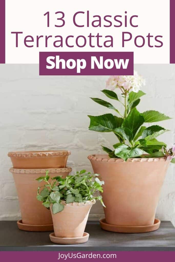 13 Classic Terracotta Pots for Houseplants You'll Love