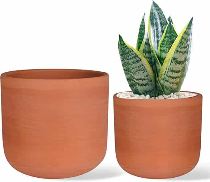 set of 2 terracotta planters one is shown with a snake planted from amazon