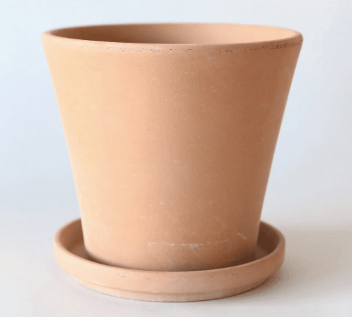 classic terracotta pot with saucer from afloral