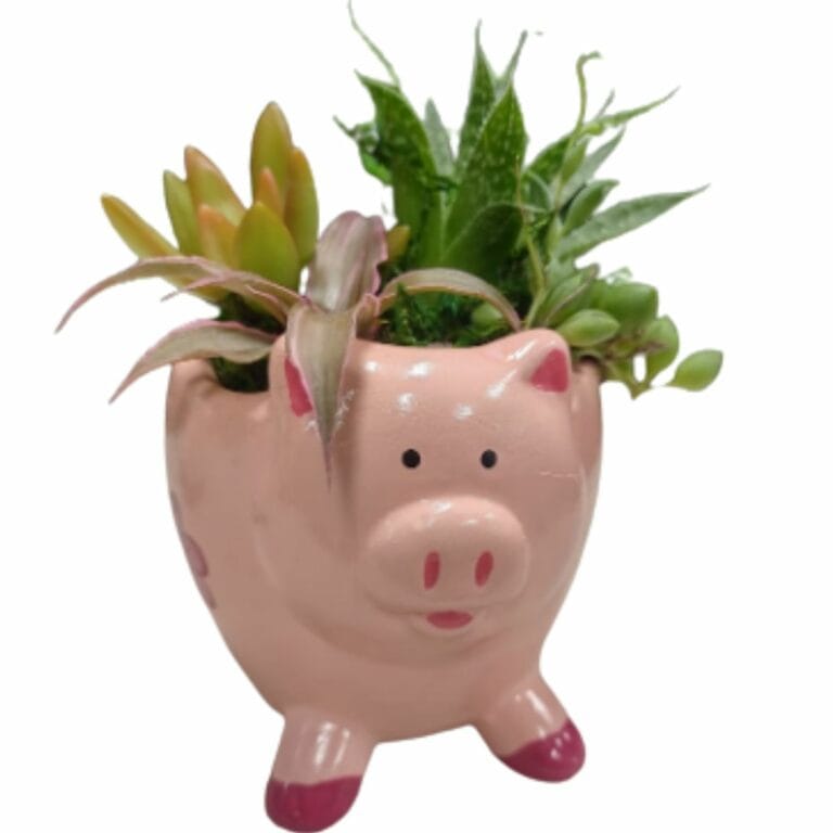 Animal Pots For Plants 17 Animal Plant Pots We Love