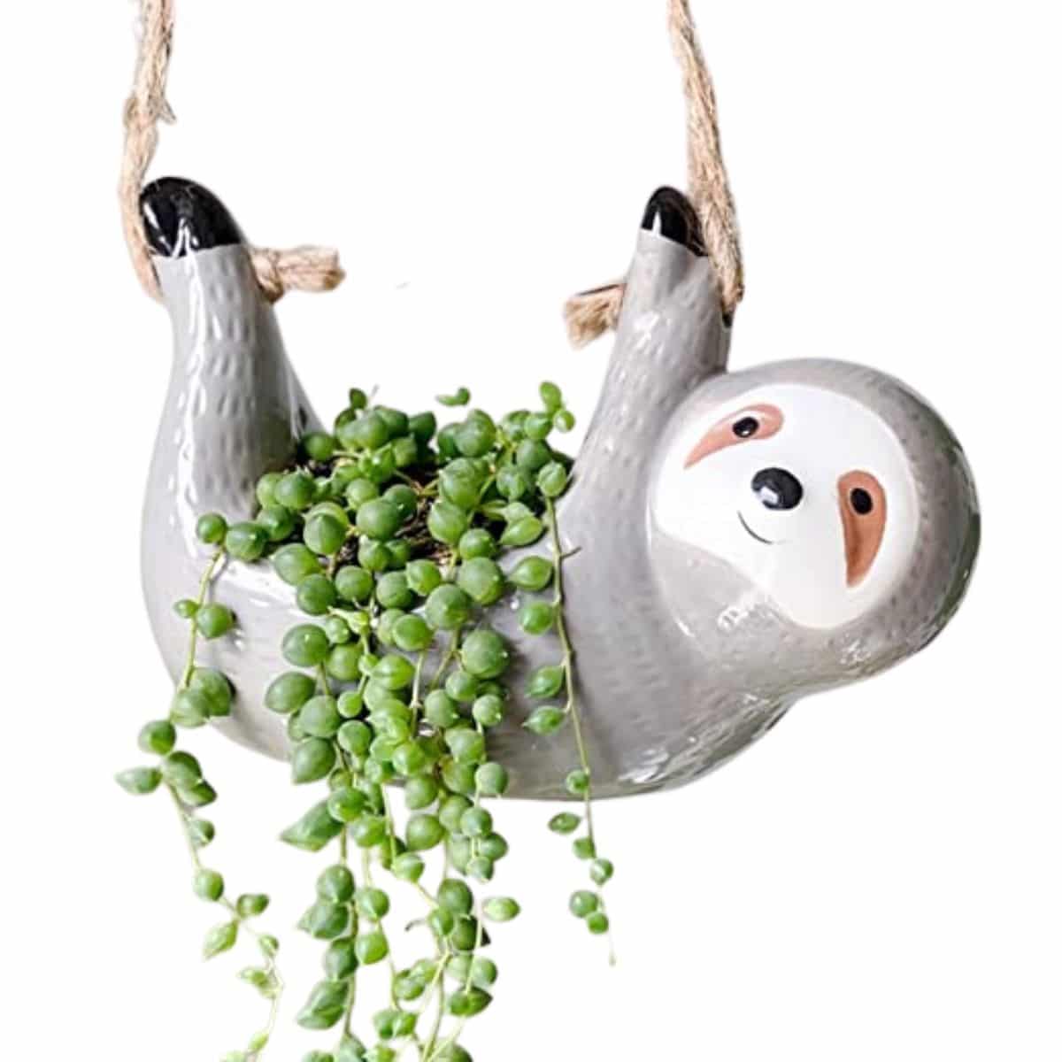 sloth hanging planter with string of pearls succulent planted inside from amazon