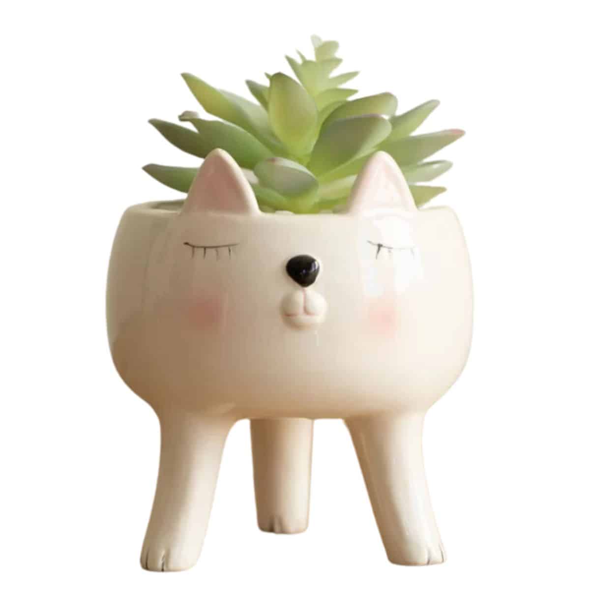 Orrwell Ceramic Cat Statue Planter with succulent planted inside from wayfair