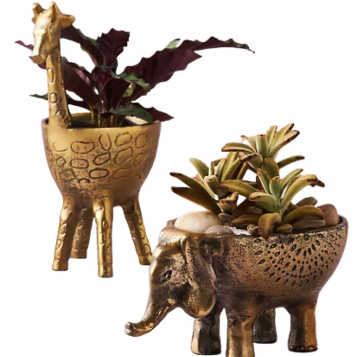 Ezzie Elephant Metal Planter shown with giraffe planter from anthropologie 