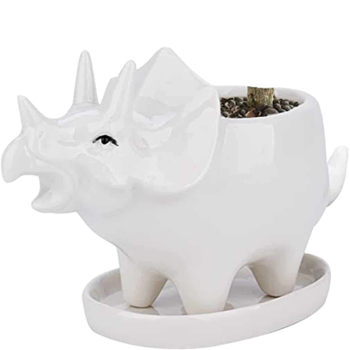 triceratops dinosaur plant pot with  from amazon