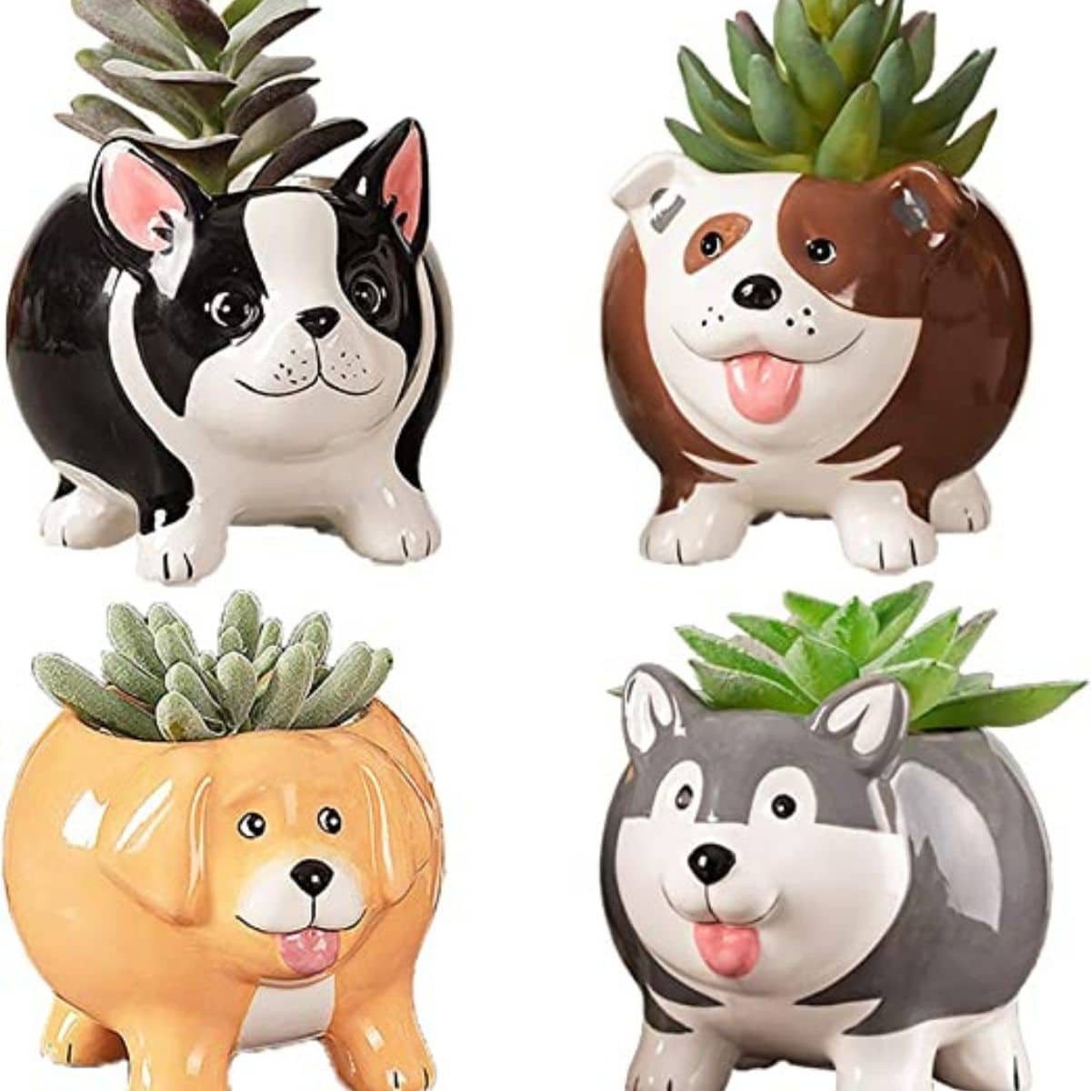 4 dog plant pots with succulents planted inside from amazon