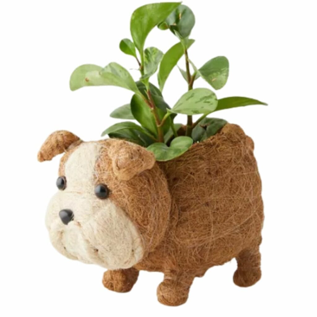 Animal Pots For Plants 17 Animal Plant Pots We Love