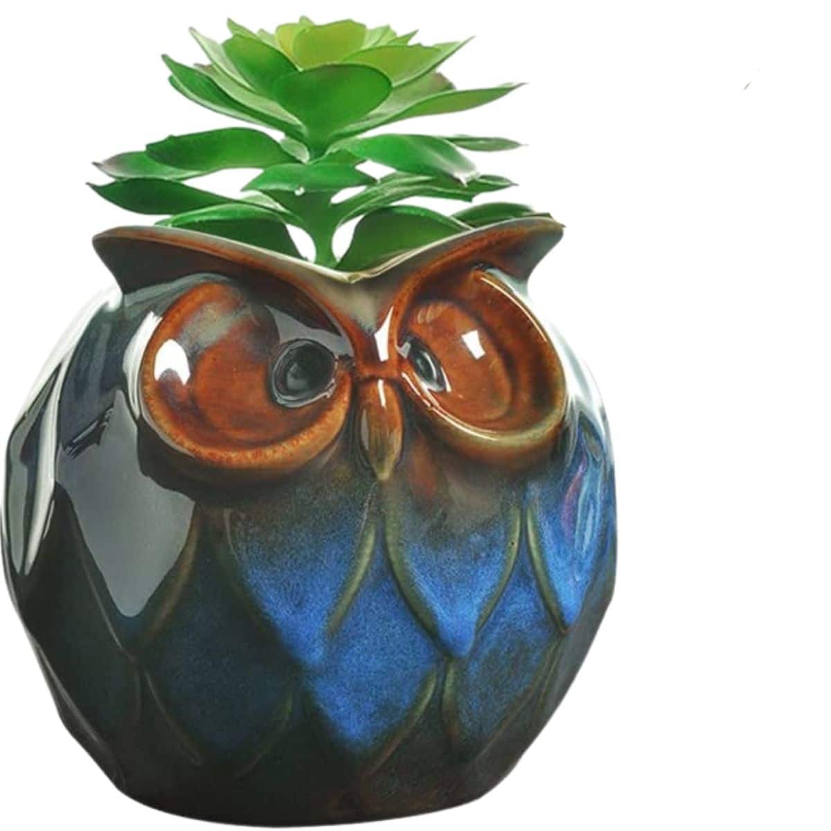 owl plant container with succulent planted inside from amazon
