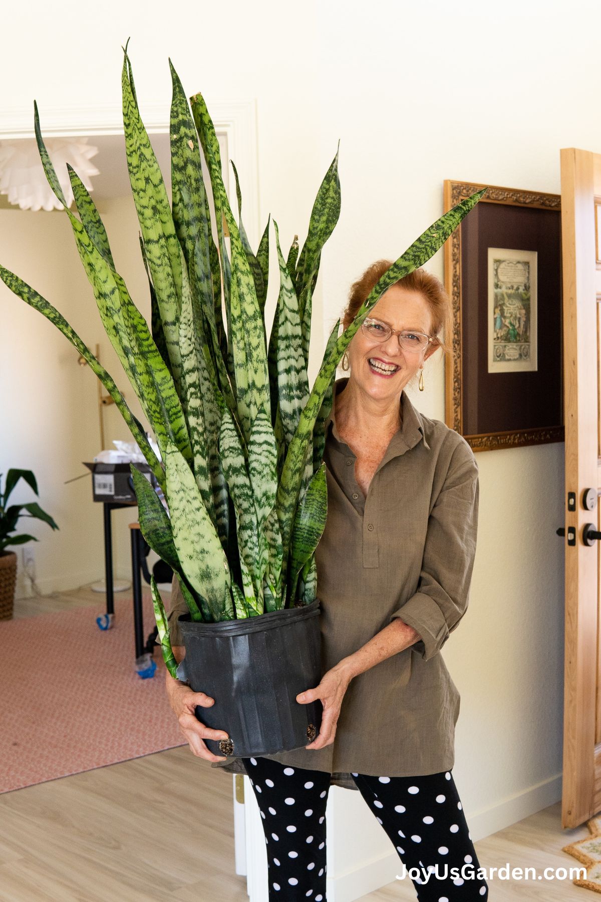 Nell Foster in a collared blouse and polka dots pants smiling while holding a Sansevieria Trifasciata in her home. 
