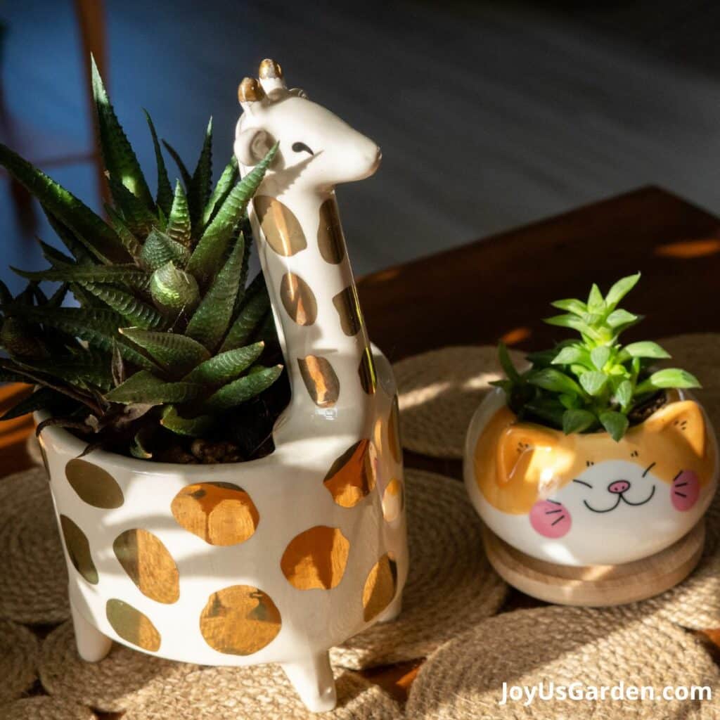 Animal Pots For Plants 17 Animal Plant Pots We Love
