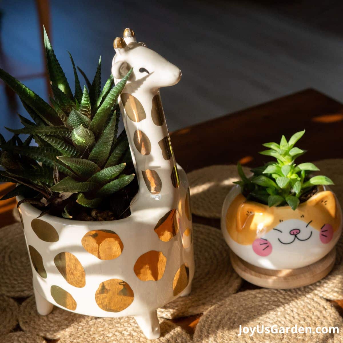 2 animal plant pots, giraffe pot and cat pot, with succulents planted inside
