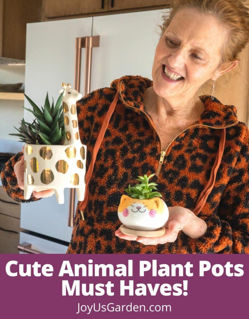 nell foster in her kitchen holding a giraffe pot and cat pot text reads cuter animal plant pots must haves joyusgarden.com