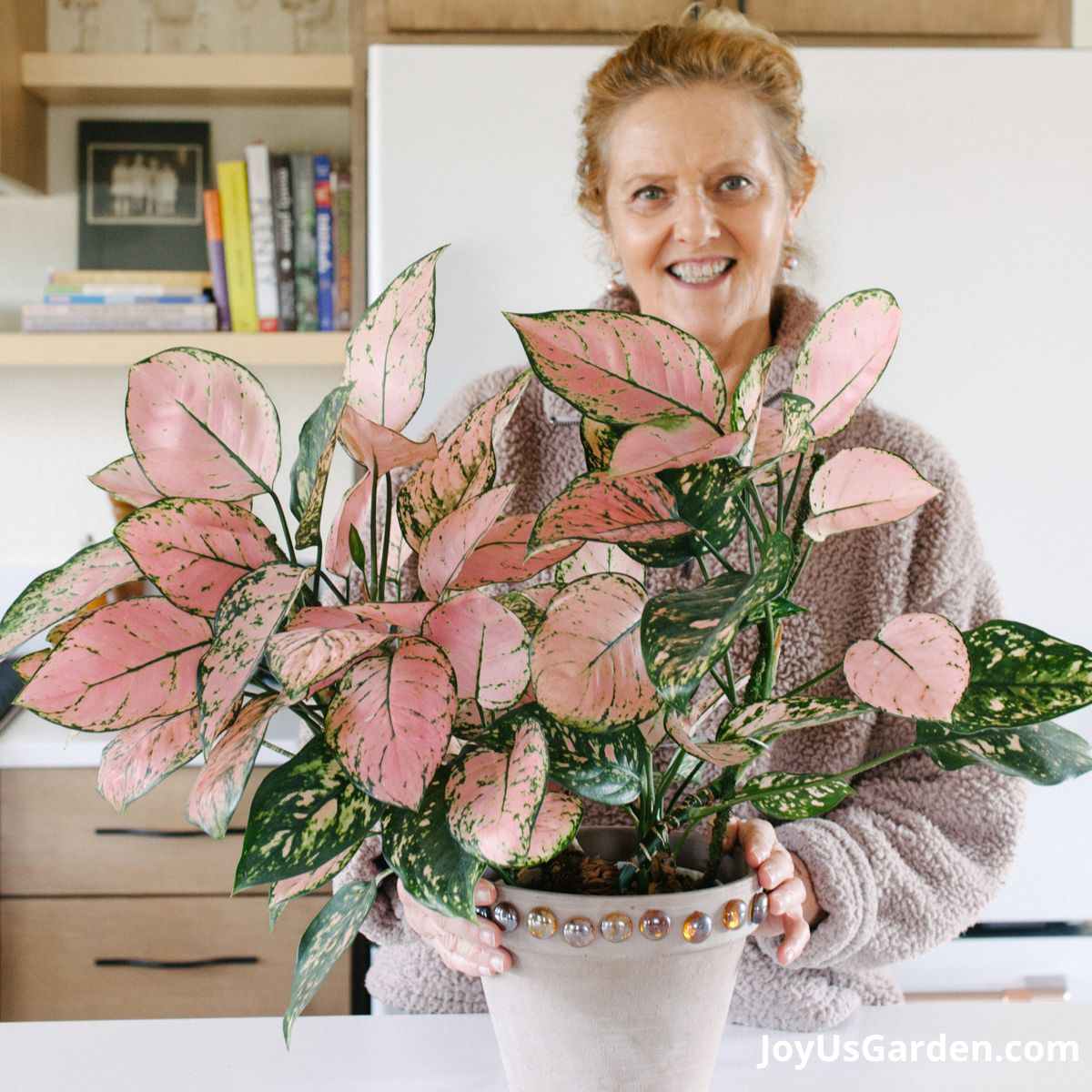 nell foster in her brightly lit kitchen standing with a pink aglaonema lady valentine in clay pot