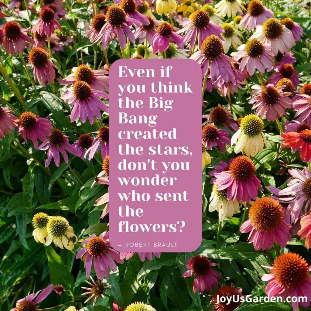 Plant Quotes That Inspire & Spark A Feeling Of Joy