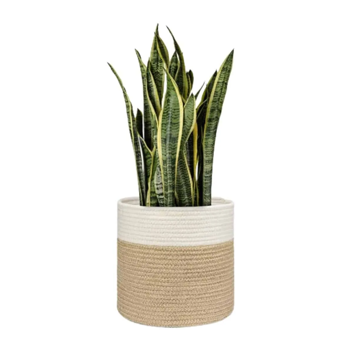 Jute Rope Plant basket in white and tan from Amazon.