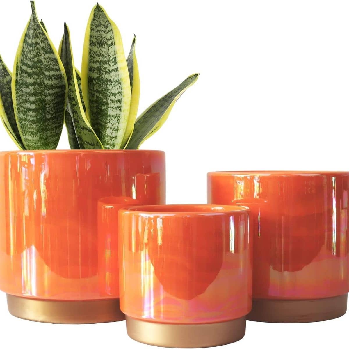 Three orange rainbow pearl glaze planter the largest pot has a snake plant inside from Amazon.