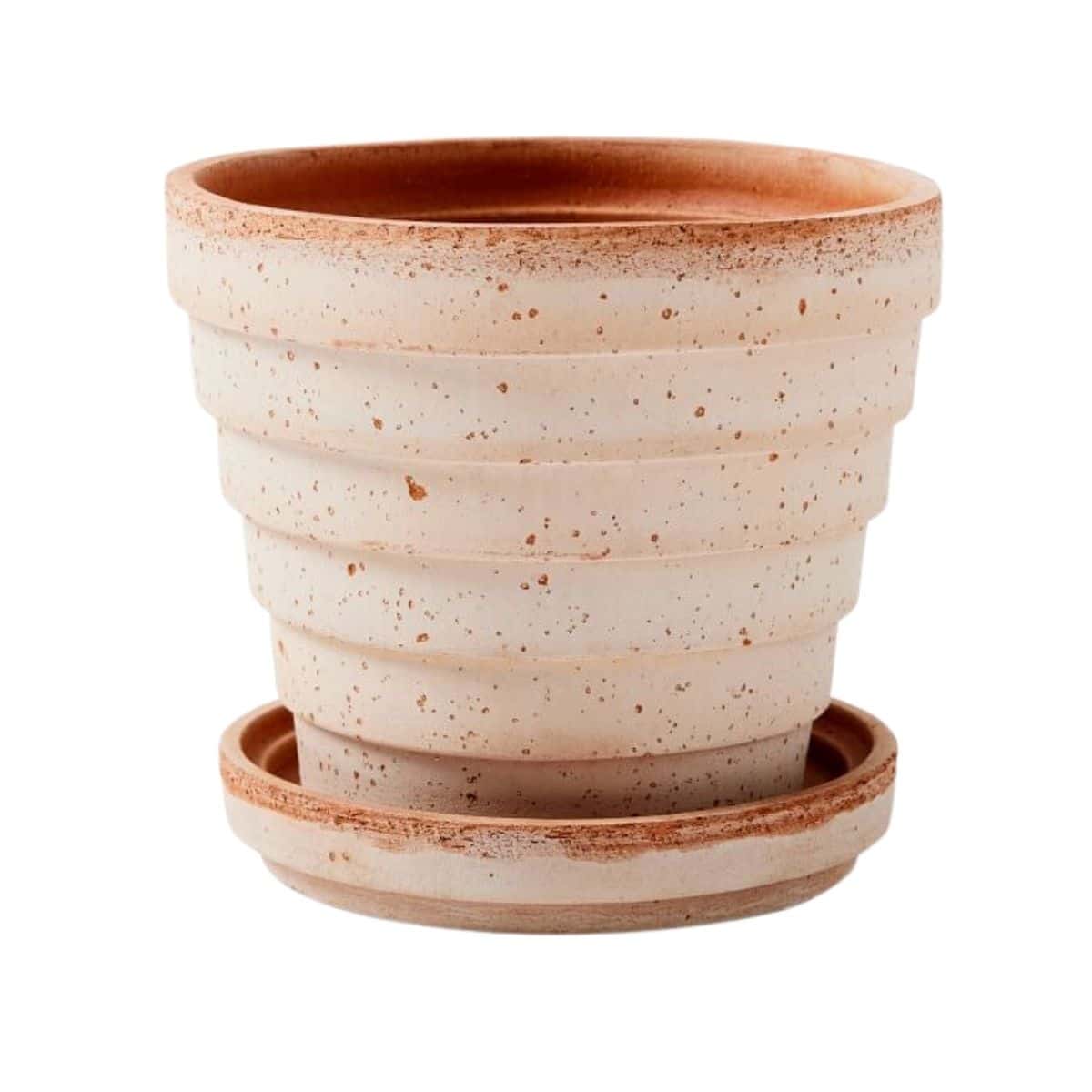 Terra cotta planter pot with saucer from West Elm.