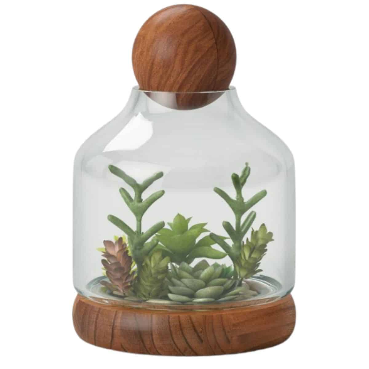 Containers For Terrariums:Glass Terrariums & Supplies 2024 Guide