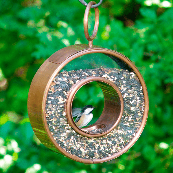 Copper circle bird feeder shown outdoors.
