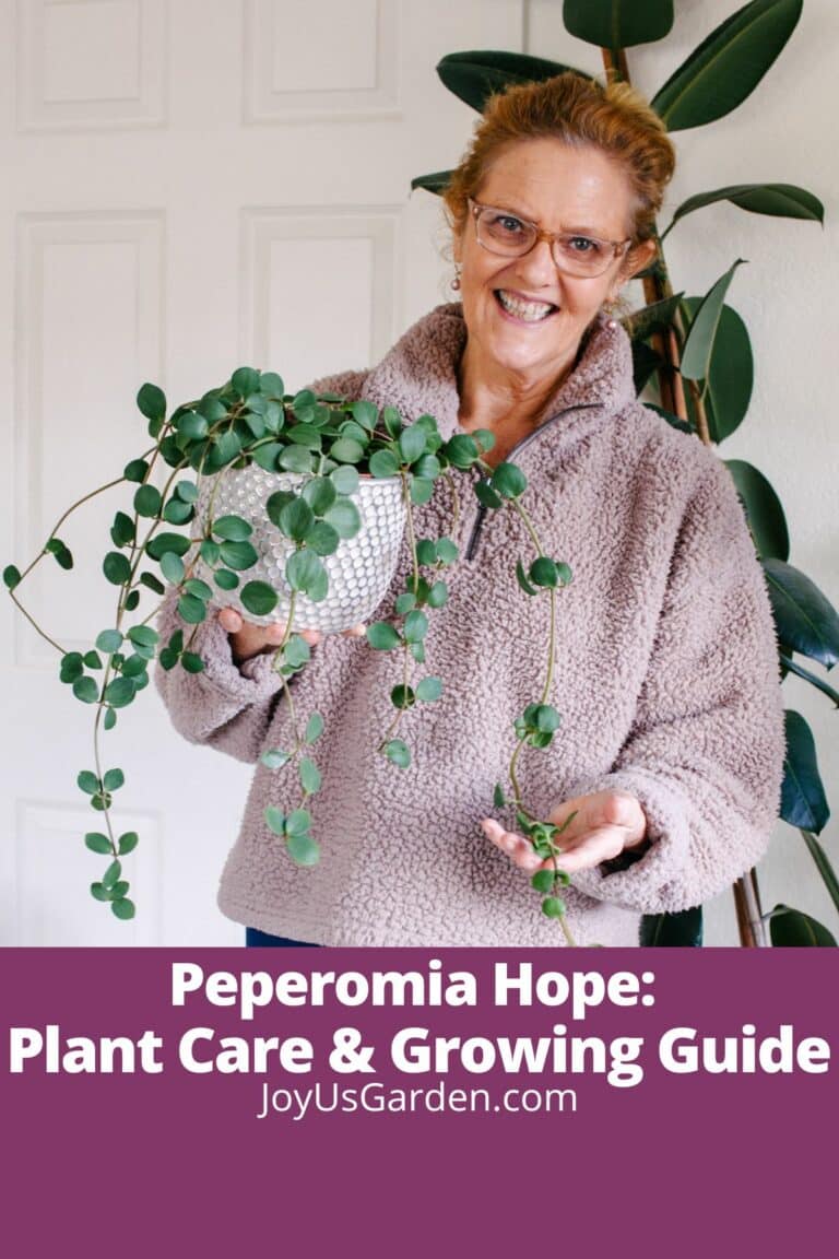 Peperomia Hope: A Complete Plant Care & Growing Guide