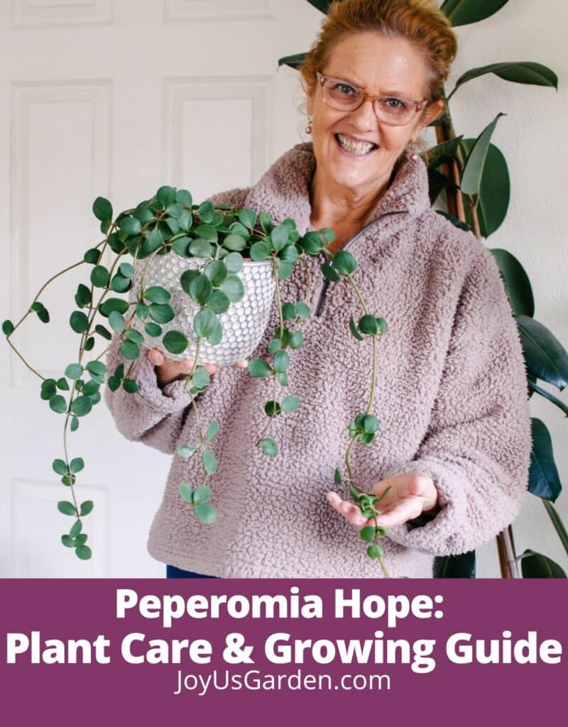 Nell foster in pink sweater holding a peperomia hope text reads Peperomia Hope: Plant Care & Growing Guide joyusgarden.com.