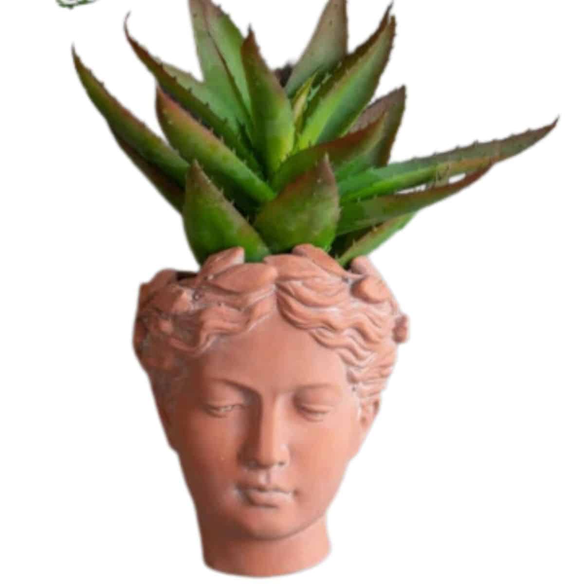 Bust hanging terracotta head planter from Wayfair.