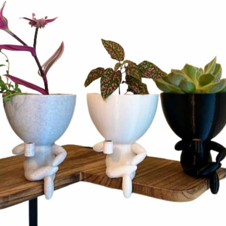 Head Planters Whimsical Face Pots To Showcase Your Plants