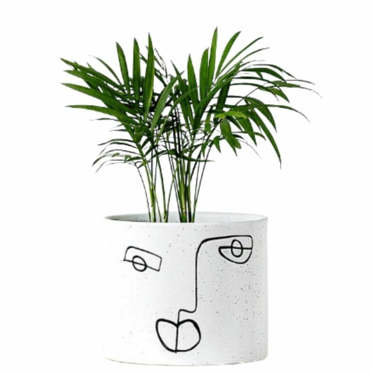 Head Planters Whimsical Face Pots To Showcase Your Plants
