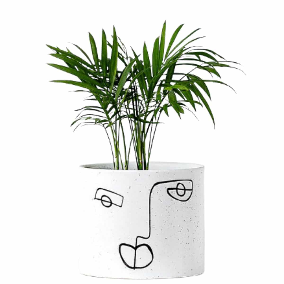 Modern Face Planter in white from Etsy. 