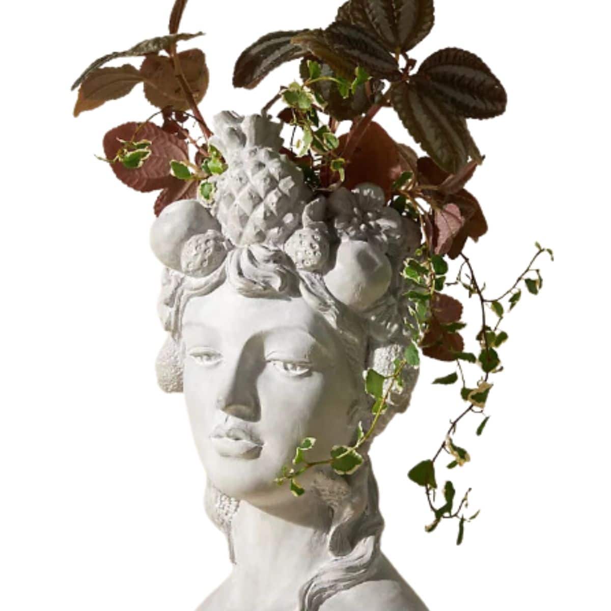 Grecian style bust pot from Anthropologie. 