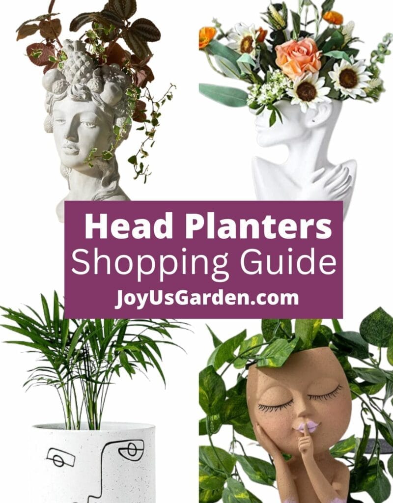 Collage of 4 different head planters text reads head planters shopping guide joyusgarden.com.